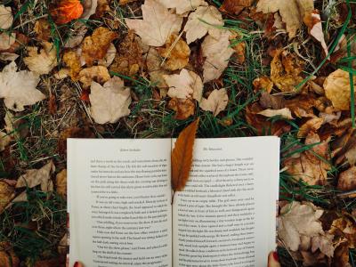 Opslået bog på jord med efterårsblade