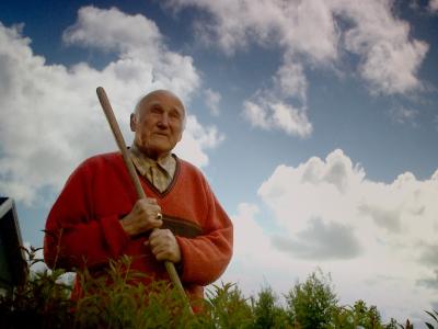 Ældre mand står med rive med en hæk. Blå himmel i baggrunden.